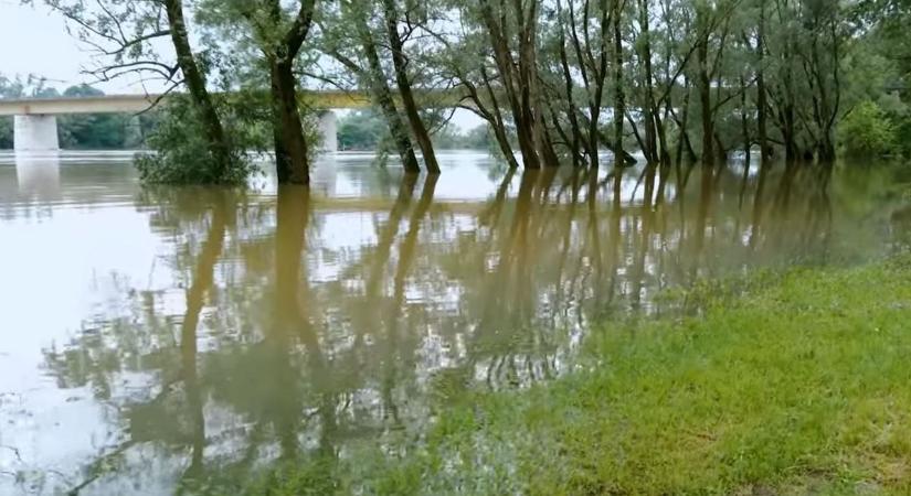 Jelentősen megnőtt a Dráva vízállása Barcsnál