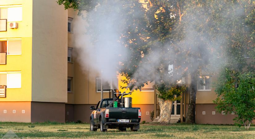 Folyamatos a szúnyoggyérítés városunkban