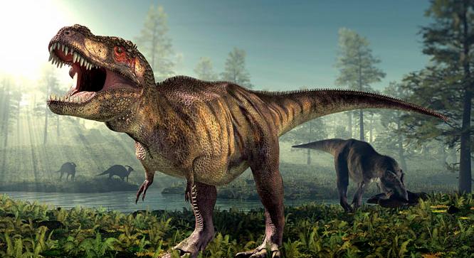 Úttörő kutatás mutatja meg, hány T. Rex sétált egykor a Földön