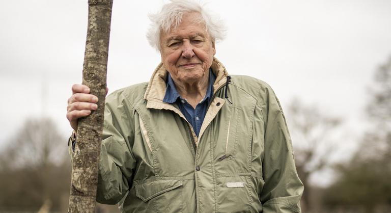 David Attenborough arcképét festették egy angliai művészeti központ falára