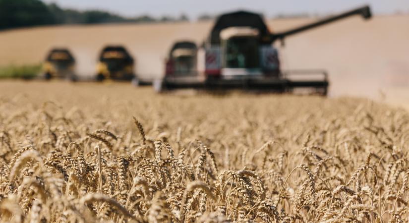 A magyar gazdák Brüsszelben tüntetnek az ukrán gabona tilalmának meghosszabbításáért