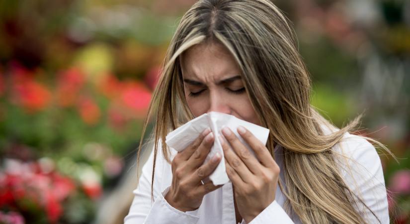 Pollenallergia vagy megfázás? Így lehet kideríteni a szakorvos szerint