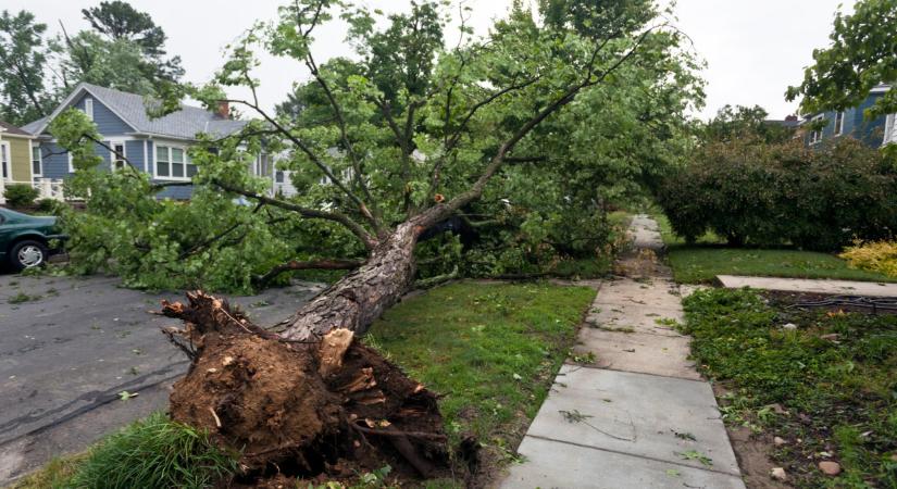 Pusztító vihar csapott le ismét az országra: fák dőltek ki, folyamatosak voltak a riasztások