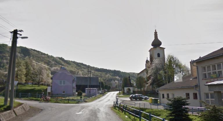 Agresszív gólya tartja rettegésben az autósokat egy szlovákiai településen