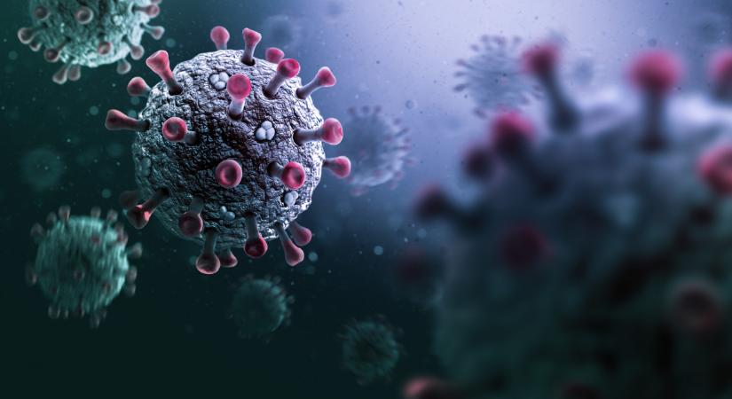 Fontos számokat közöltek a koronavírusról: így áll most a betegség terjedése Magyarországon