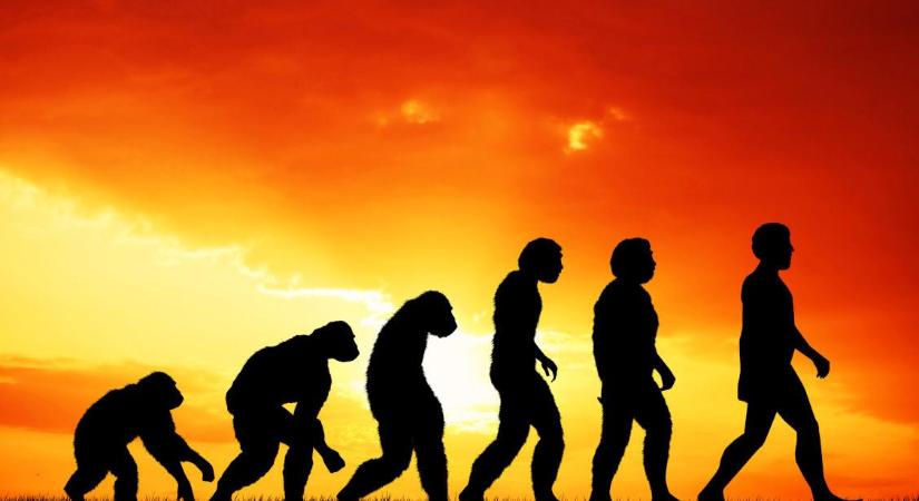 DNS-bizonyítékok igazolják, hogy az emberi evolúció nem is úgy volt… De akkor honnan jöttünk?