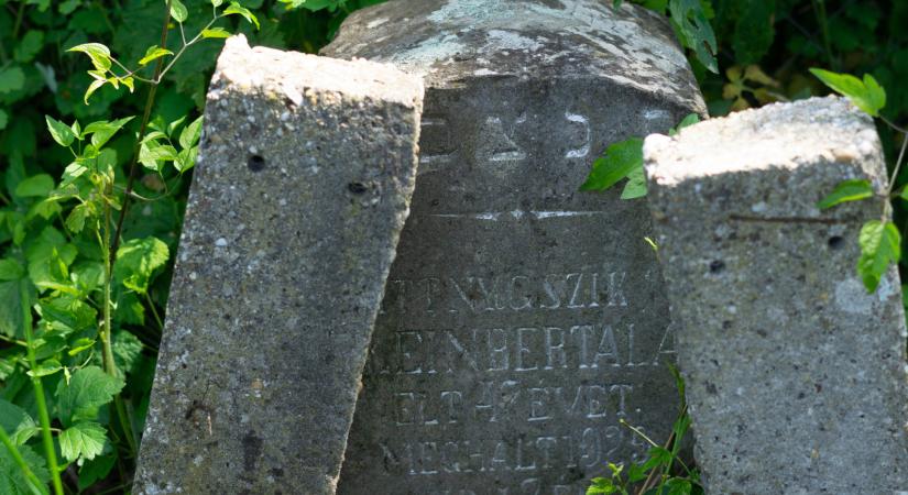 LiliGro X. – a tizedik Groszmann Lili emlékséta Cserépfalun