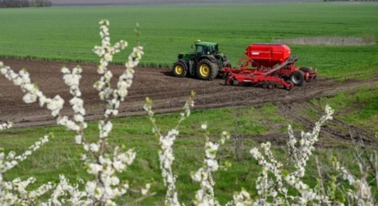 Jobb híján a tavaszi búza területét nyomták meg az ukránok
