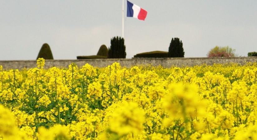 Egyelőre nem fenyegeti aszály az idei termést Franciaországban