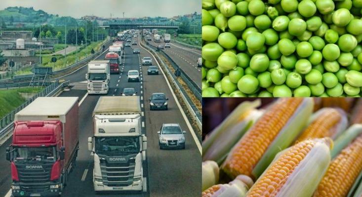A Kormány nem támogatta az ipari zöldségek „EKÁER-mentességét”