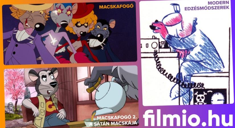 Ingyenesen nézhető a Macskafogó mindkét része és egy animációs fekete komédia is a FILMIO-n