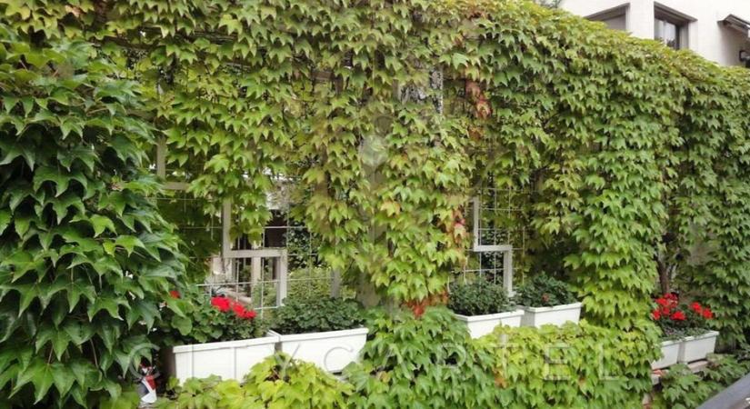 Eladó egy Vonnák János villa a Kis Svábhegyen