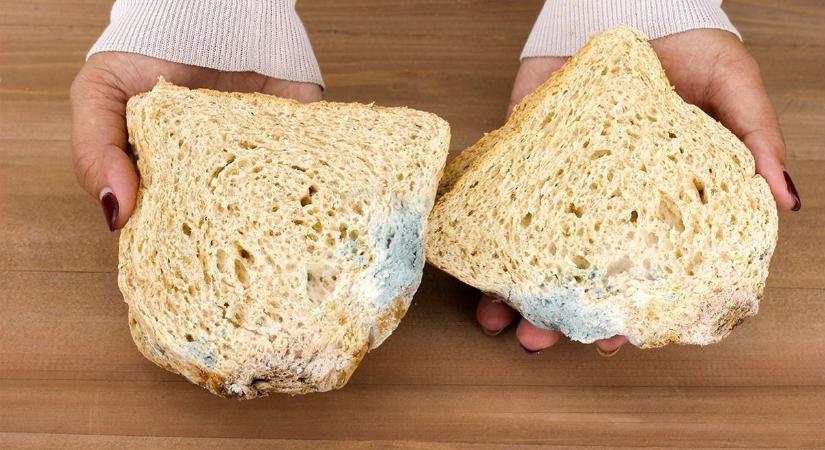 Ez történik a testeddel, ha penészes kenyeret eszel