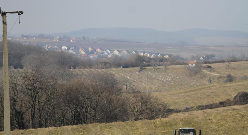 Beérett a gondos gazdálkodás gyümölcse Móron