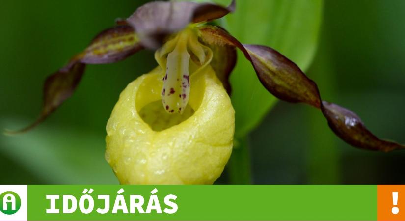 3 napos időjárás-előrejelzés: nyárias idő lesz, több helyen zivatarokkal