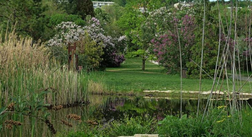 4 varázslatos kert Budapesten, amit egyszer látni kell: paradicsomi nyugalomban pihenhetsz
