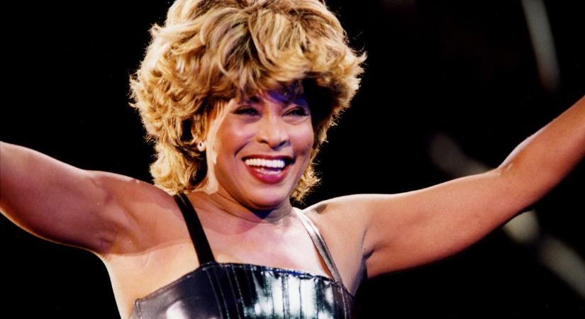 Halála után szobrot állíthatnak Tina Turnernek a szülővárosában