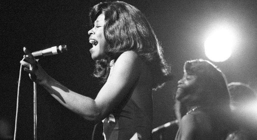 Tina Turner szobrot kaphat a szülővárosában