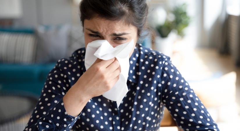 Beválhat: természetes módszerek allergia ellen! Tanácsok az allergológustól