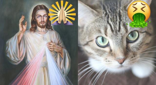 „Vagy a macska, vagy Krisztus!” – egy ortodox pap szerint a pokolra jut, aki nem szabadul meg cicájától