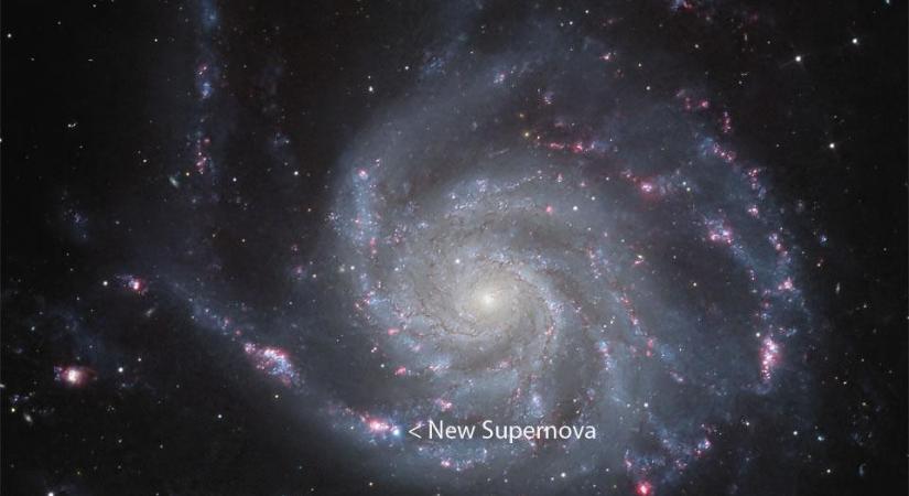 Akkora szupernóva robbant egy közeli galaxisban, hogy hónapokig látható lesz az éjjeli égbolton