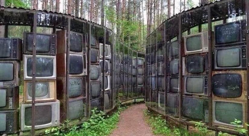 Egy csomó szovjet tévé figyel a litván erdőben
