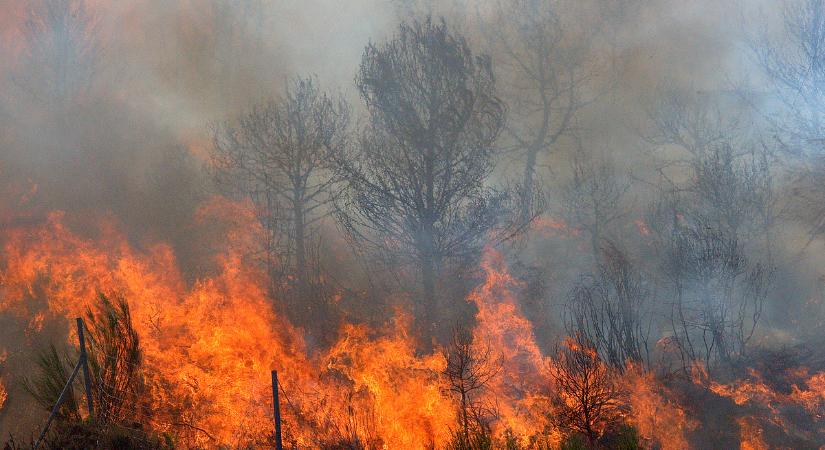 Akkora tűz van a kanadai erdőkben, hogy vészhelyzetet kellett elrendelni
