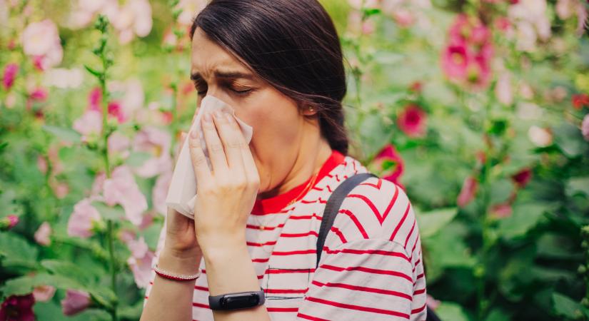 5 egyszerű házi praktika allergia ellen