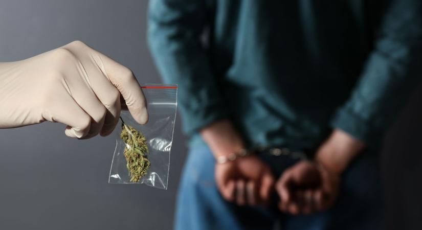 Kannabisszal seftelt az esztergomi díler, drágán megfizethet érte