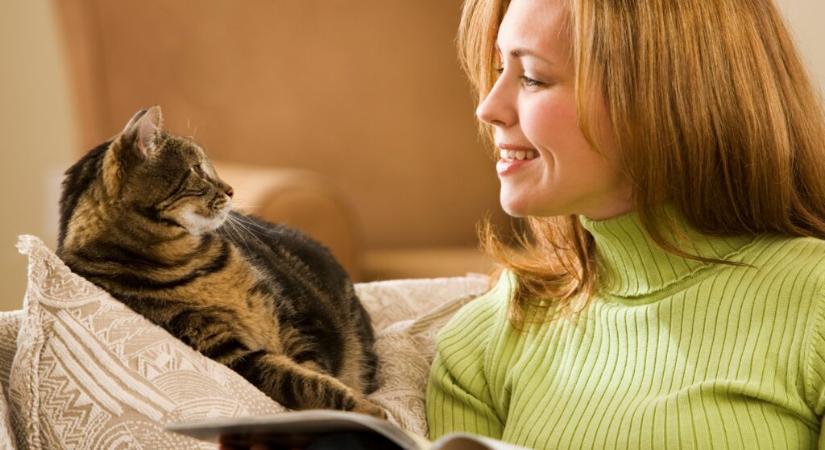 A harmonikus cica-gazdi viszony titka: így kommunikálj a macskáddal!