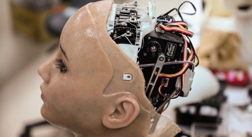 Az emberiség kihalásához vezethet a mesterséges intelligencia – figyelmeztetnek a szakértők