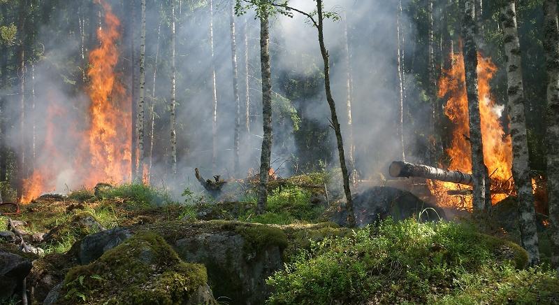 Az Európai Unió megkettőzi az erdőtüzeket oltó légiflottáját