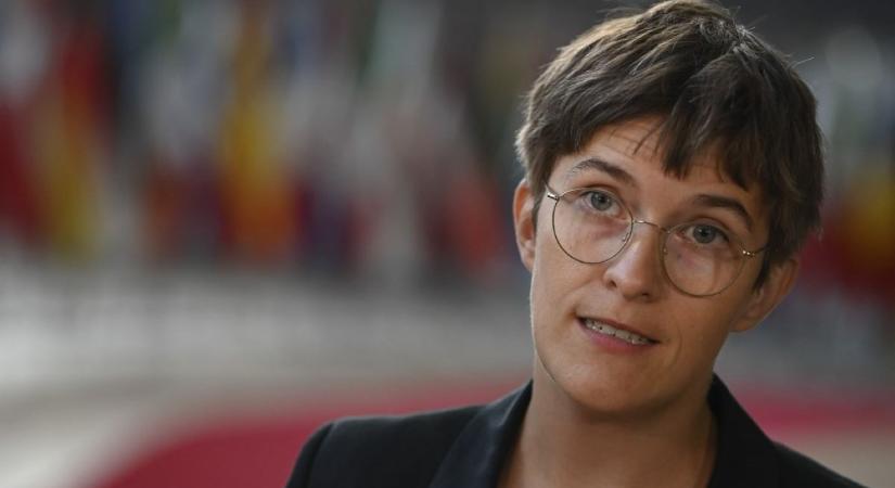 Német miniszter is megkérdőjelezi Magyarország EU-elnökségét