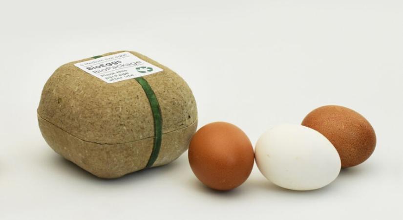 Dobd el ezt a tojástartót, ha jót akarsz a környezetnek!