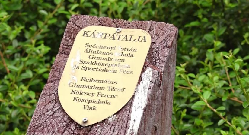 Közösségi adakozást szerveznek Pécsett