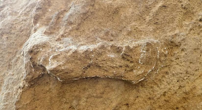 153 ezer éves a legrégibb ismert emberi lábnyom