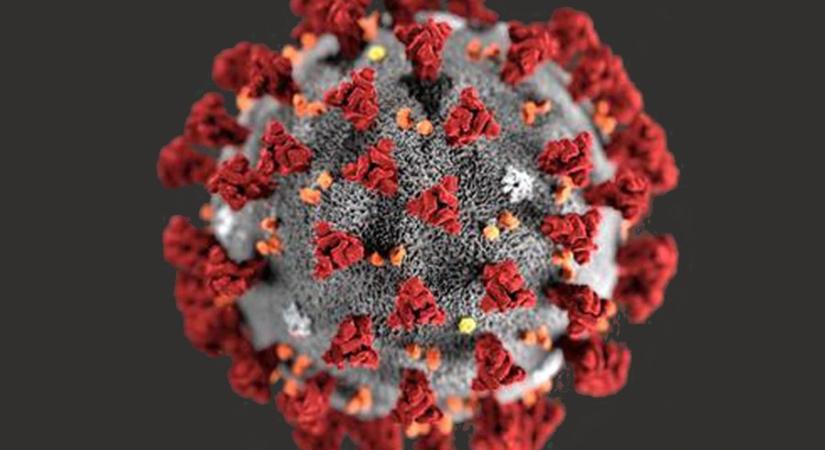Koronavírus oknyomozás 3 év után