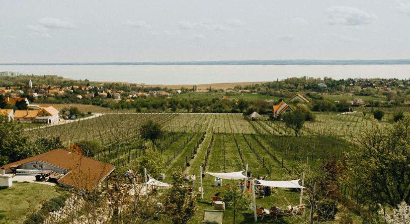 Borbarangolók és napimádók – szezonnyitás a Homola Borteraszon