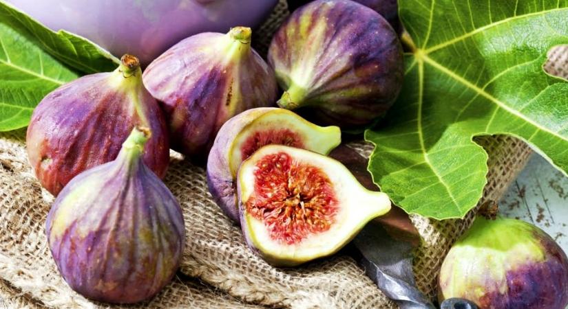Negru Svinita és Galben Svinita fügefajták – kik is ők valójában?