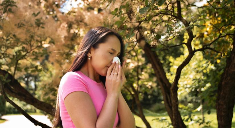 Egyre nagyobb gond a pollenallergia