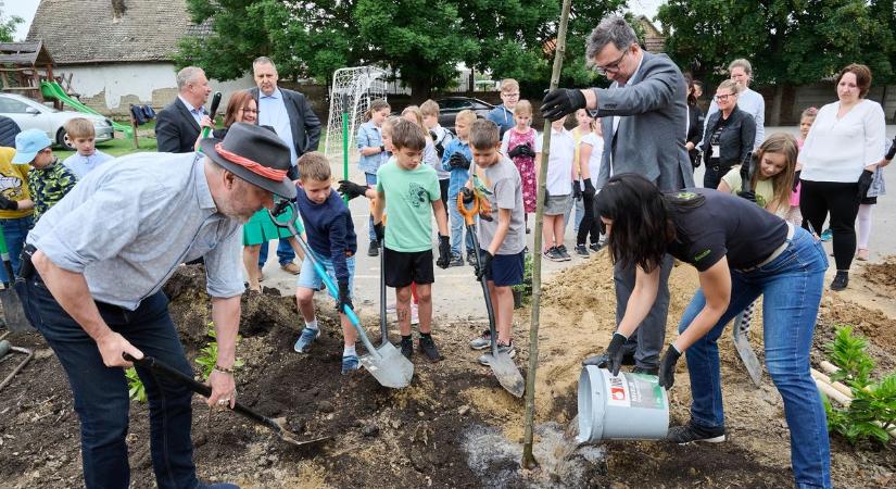 100 oktatási intézményben hűsölhetnek őshonos fák árnyékában a gyerekek