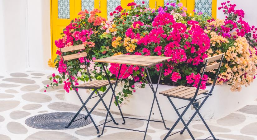 DIY: így lesz tökéletes asztali- és partidekor a nyár kedvenc virágából - fotók