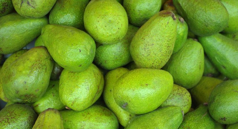 A kormánynak hála olcsóbb lett az avokádó és a mangó