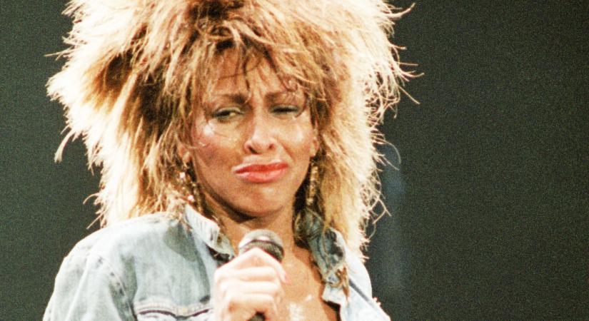 Két fiát is tragikus körülmények között veszítette el Tina Turner