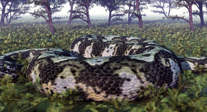 Rémisztő, 15 méteres kígyószörny támadhatta meg a pilótát, története bejárta a világot