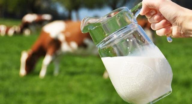 Ma van a tej világnapja