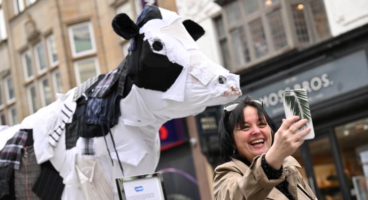 Imádják a britek az utcákra kiállított mulatságos tehénszobrokat