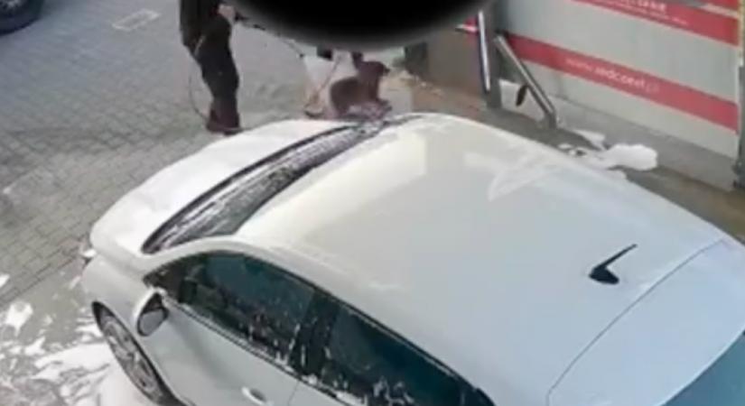 Megrázó felvétel: autómosóban tisztította meg a kutyáját egy férfi - nem marad következmények nélkül