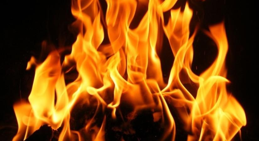 Tűz ütött ki egy állattartó telepen, mintegy ezer sertés elpusztult