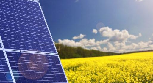 Magyar cég fejlesztésével válhatnak fenntarthatóbbá a napelemparkok